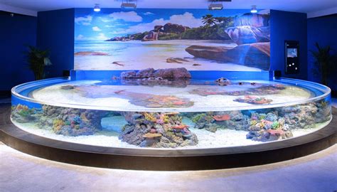 Cube Oceanarium Chengdu China Advanced Aquarium Technologies