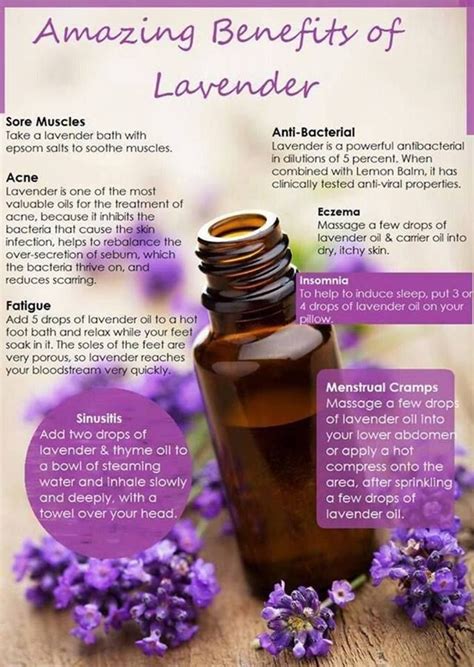 Living Essentials Oils Lavender Benefits Essential Oils