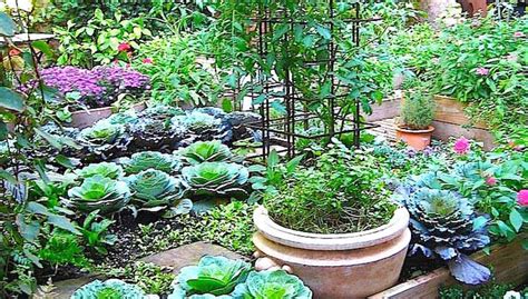 Northeast Gardening Small Vegetable Gardens That Grow Big