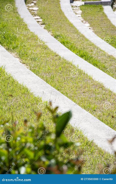 Concrete Stairs In The Park With Rows Of Green Grass A Section Of The