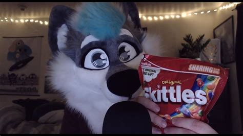 Furry Asmr Wolf Play With Skittles Youtube