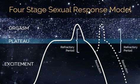 Understanding The Sexual Response Cycle Kelly Mcdonnell Arnold Medium