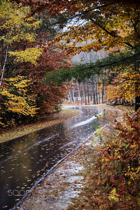 Rainy Road On A Autumn Day Rainy Day Photography Rainy Day Wallpaper