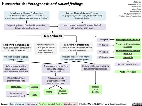 Hemorrhoids Pathogenesis And Clinical Findings Calgary Guide