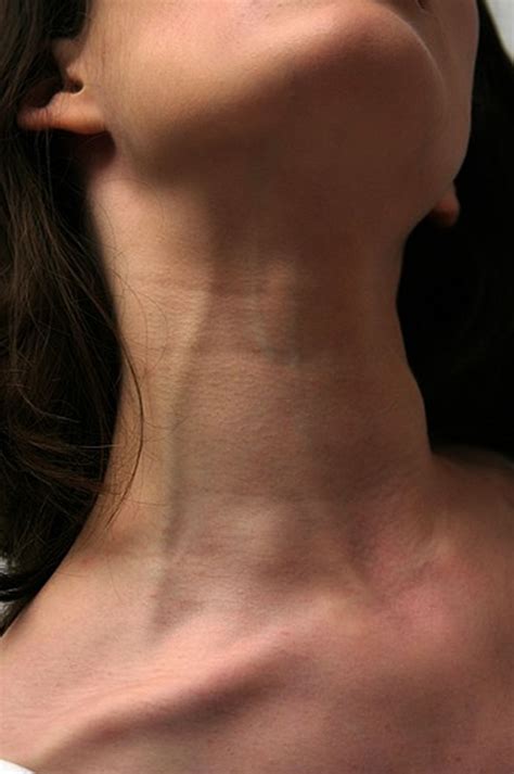 Female neck anatomy anatomy of human neck anatomy human. Pin on sexy necks