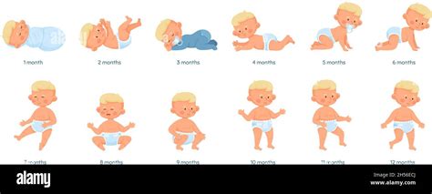 Baby Growth Stages Development Process From Newborn To Toddler Baby