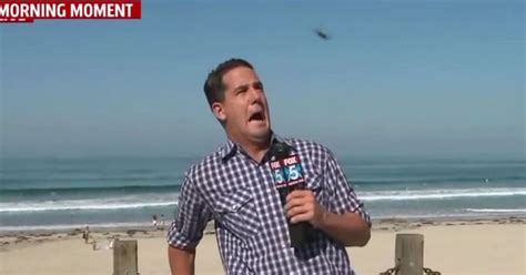 Fox News Reporter Brad Wills Attacked By Huge Flying Bug Live On Air