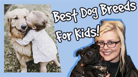 Which Dog Breeds Are Best With Kids Best Dog Breeds For