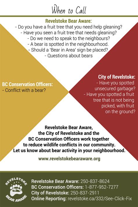 Report Bear Sightings Revelstoke Bear Aware Society