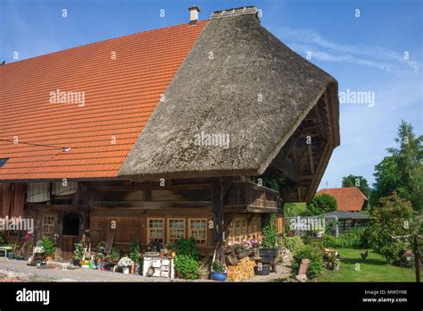Old Historical Wooden Black Forest House At Village Gutach Black