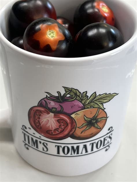Bosque Blue Tomato Seeds Organic Tims Tomatoes