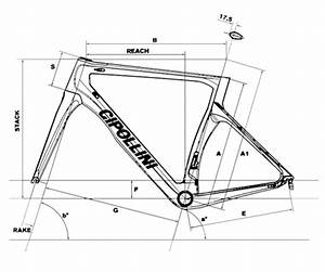 Size Chart Cipollini Bond Veloholic Cycles