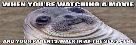 Awkward Moment Seal Meme