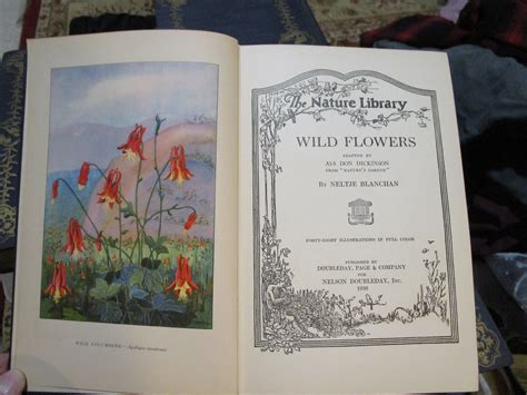 Antique 1926 The Nature Library Wild Flowers By Neltje Etsy