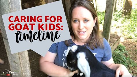 Caring For Goat Kids Timeline Of Care For The First Few Months Youtube