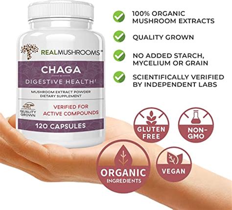 Real Mushrooms Chaga Extract Immune And Digestive Support Organic