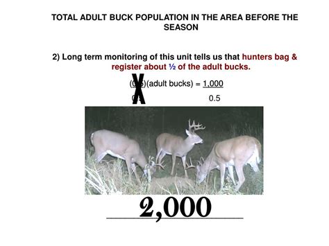 Ppt The “sex Age Kill” Method Of Estimating Wisconsins Deer