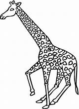 Giraffe Coloring Pages Kids Giraffes Printable Animals Supercoloring Galloping Bestcoloringpagesforkids sketch template