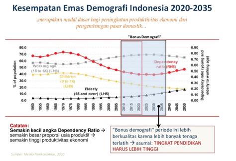 Generasi Milennials Optimalisasi Bonus Demografi Indonesia Tahun