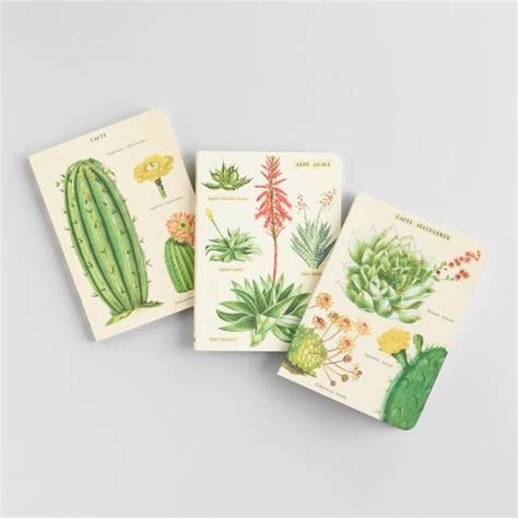 Mini Cacti And Succulents Journals Set Of 3 V1 Cactus Flower Mini