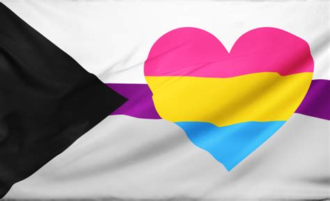 Demisexual Panromantic Pride Flag Heart Official Store Pn Asexual Flag