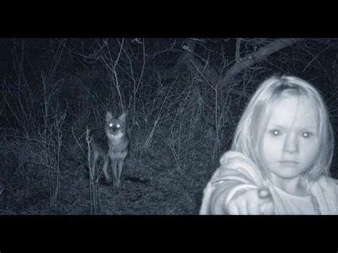Top Creepiest Pics Accidentally Captured On Trail Cameras Unsolved Creepy Photos