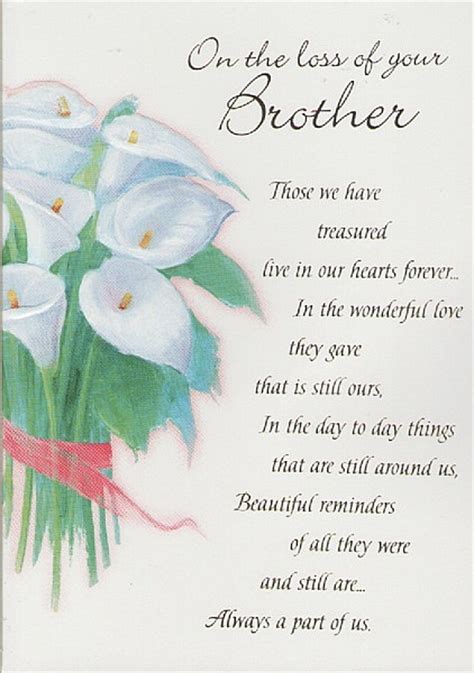 Brother Sympathy Images And Quotes Quotesgram