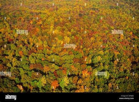 Loudoun County Virginia Usa Aerial Of Autumn Foliage Tree Canopy