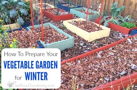 How To Prepare Your Vegetable Garden For Winter Get Busy Gardening
