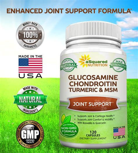 JOINT SUPPORT Glucosamine Chondroitin Turmeric MSM Boswellia 120 Caps