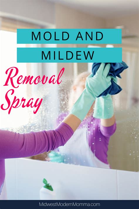 Homemade Mildew Removal Spray Mold Too Mildew Remover Mold And