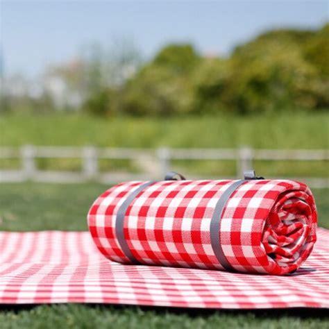 Extra Large Picnic Outdoor Blanket With Waterproof Backing For Sale