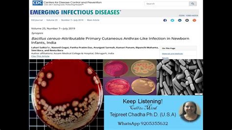 Bacillus Cereus Food Poisoning Emerging Infectious Diseases Gate Life