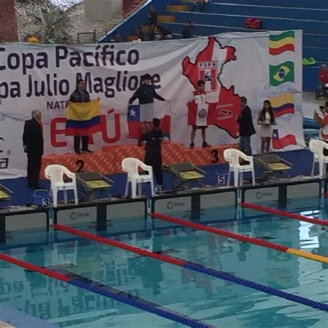 Tres medallas de oro y dos de plata marcan la positiva actuación del joven nadador chileno. ¡Maximiliano Cereceda y Eduardo Cisternas ganaron oro en ...