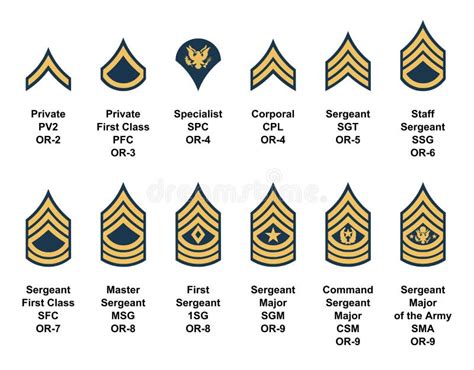 Army Enlisted Rank Insignia Stock Vector Illustration Of Command
