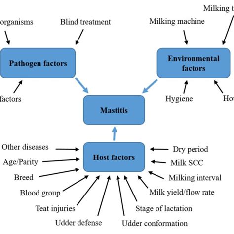 Factors Influencing The Development Of Mastitis In Dairy Cows Soure