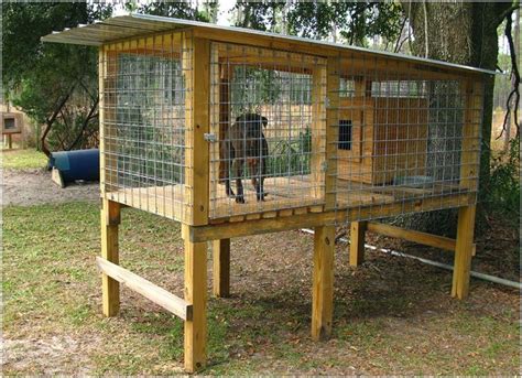 Off Groundno Digging Dog House Blueprints Dog Kennel Build A