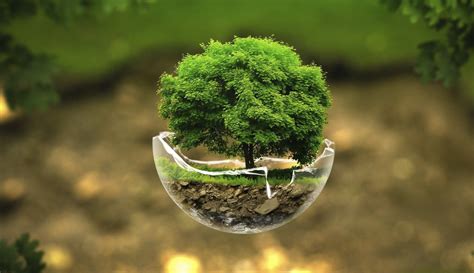 Gestão Ambiental Nas Empresas