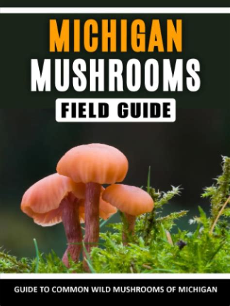 Mushrooms Of Michigan Identification Field Guide To Common Wild