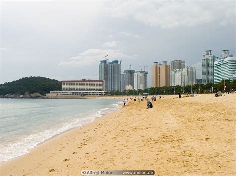 Photo Of Haeundae Beach Sea Coast Busan Korea