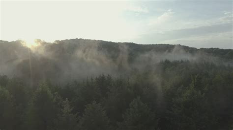 Forest Covered By Mist At Sunrise From The Heights Free Stock Video