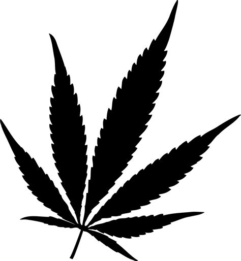 pot leaf png 10 free Cliparts | Download images on Clipground 2022