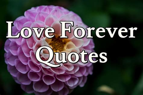 Love Forever Quotes Purelovequotes