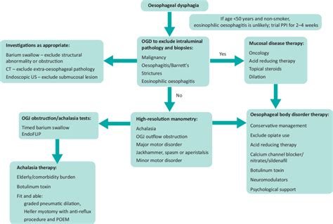 Diagnostic Approach To Dysphagia And Achalasia Ct Computed