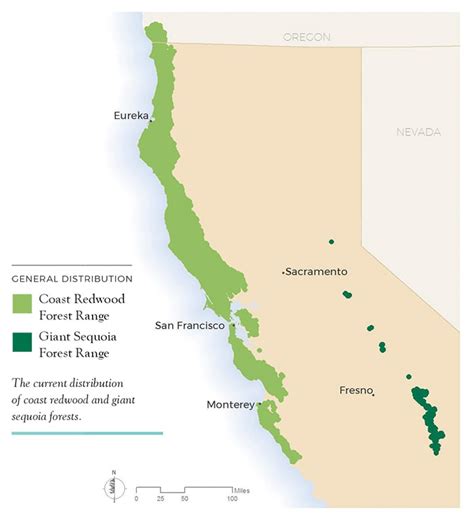 Coastal Redwood Range Map