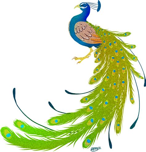 Peacock Clipart Full Size Clipart 2857591 Pinclipart