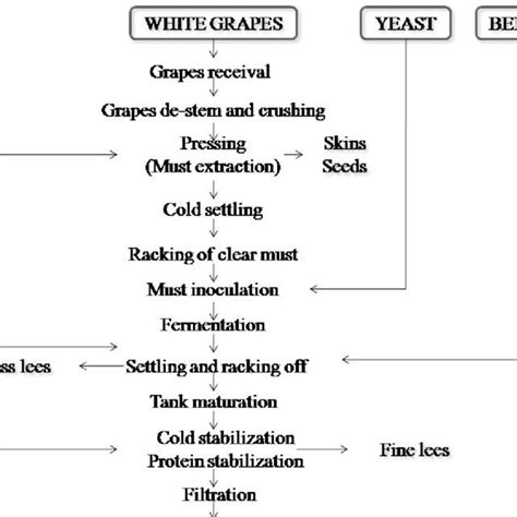 Flow Diagram Of White Wine Making Process Download Scientific Diagram