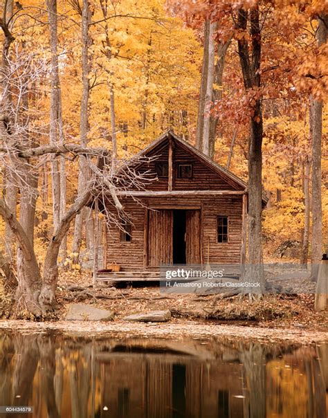 Autumn Woods Forest Secluded Wooden Cabin Facing Secluded Lake News