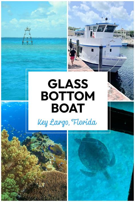 Glass Bottom Boat Tour In Florida Keys The Educators Spin On It