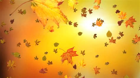 Animated Falling Leaves Wallpaper